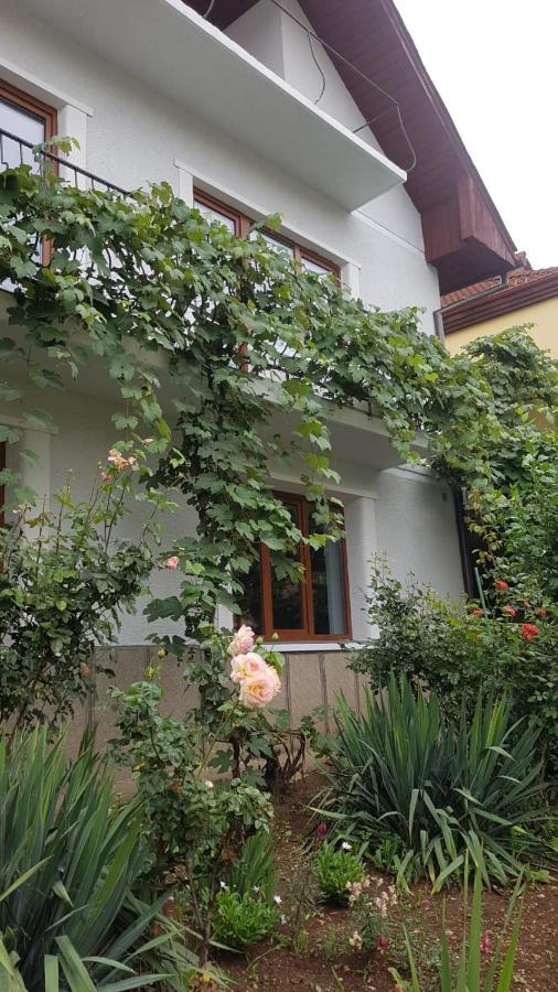 Madalina Apartment บราชอฟ ภายนอก รูปภาพ